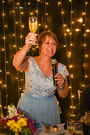 004 - Brindis378